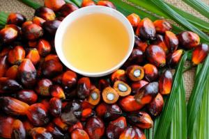 Как влияет на наш организм пальмовое масло, которое сейчас активно добавляют в продукты Почему пальмовое масло не выводится из организма